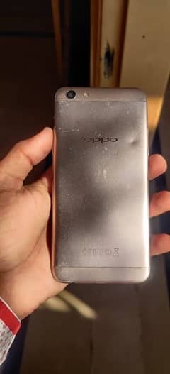 oppo