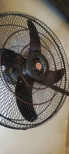 Selling royal fan