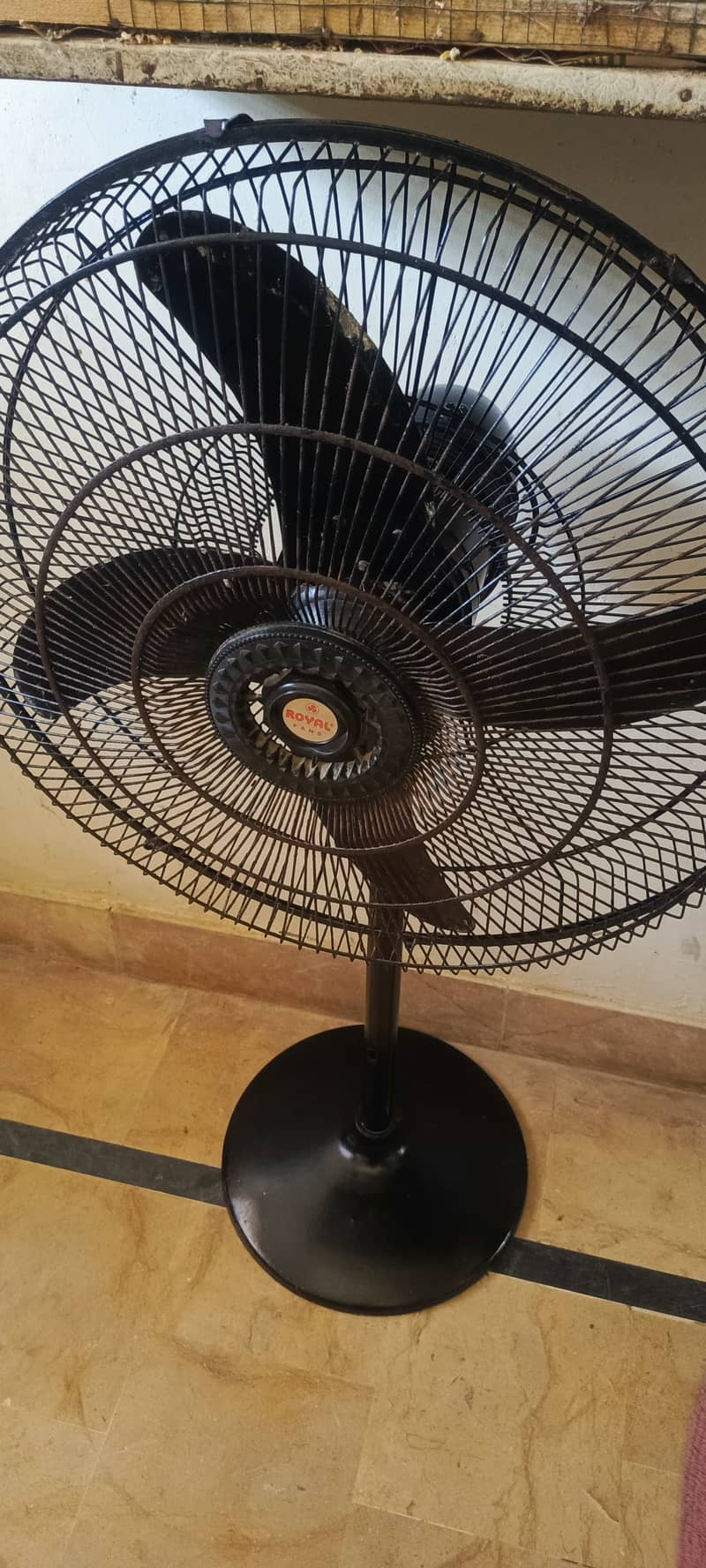 Selling royal fan 4