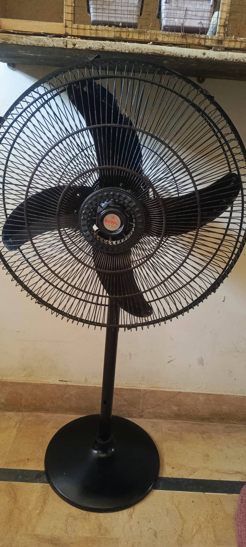 Selling royal fan 5