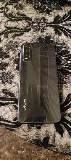 vivo