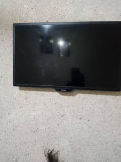 LED TV