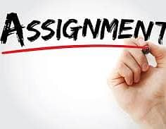 I will write your assignments, Notes and Articles in very cheap rate 1