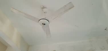 celling fan 10/10