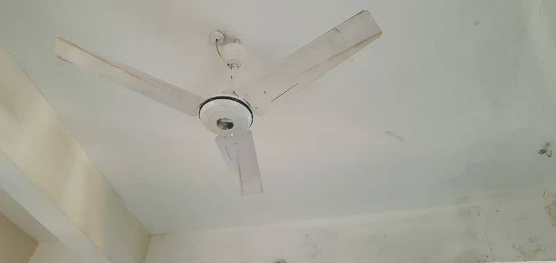 celling fan 10/10 0