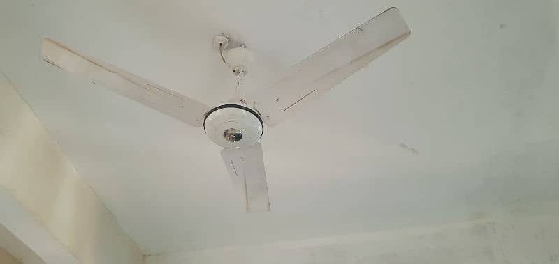 celling fan 10/10 1