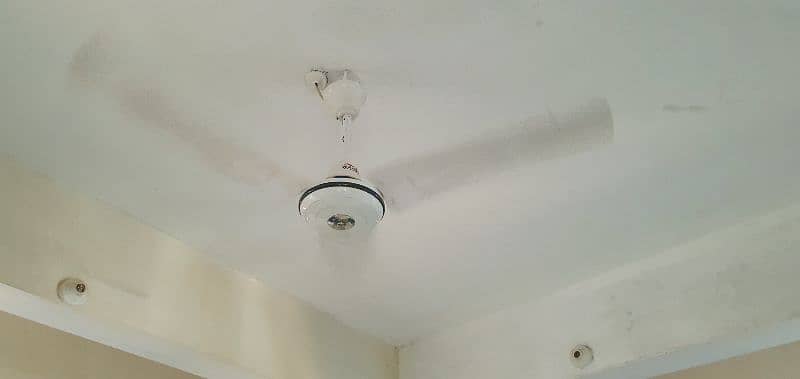 celling fan 10/10 2