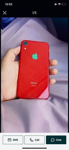 iPhone XR