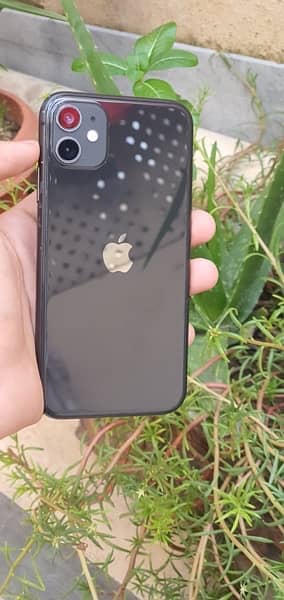 iphone 11 jv lush condition 2