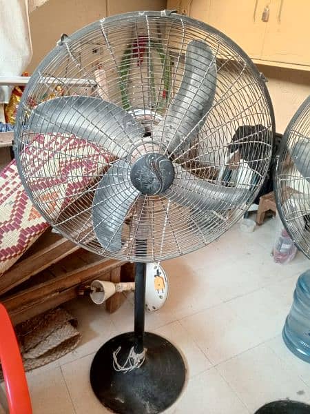 table fan good condition 1