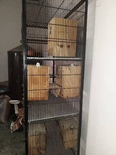 A parrots cage full oky good condtion like new 0