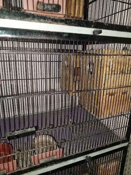 A parrots cage full oky good condtion like new 4