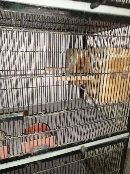 A parrots cage full oky good condtion like new 5