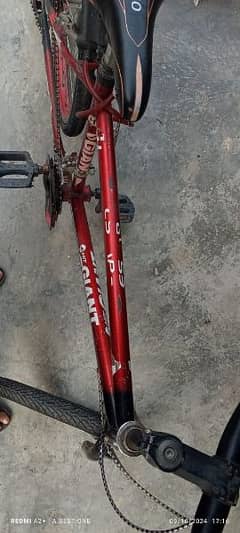 Cycle for sale