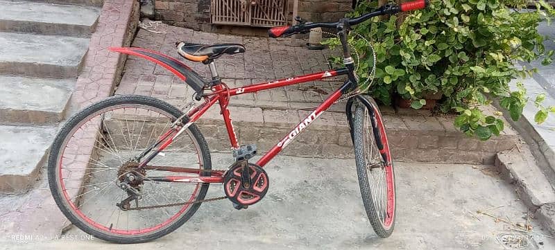 Cycle for sale 3