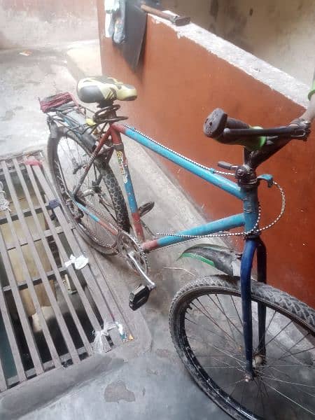 bicycle for sale 1