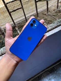 iphone 12 64gb non pta jv