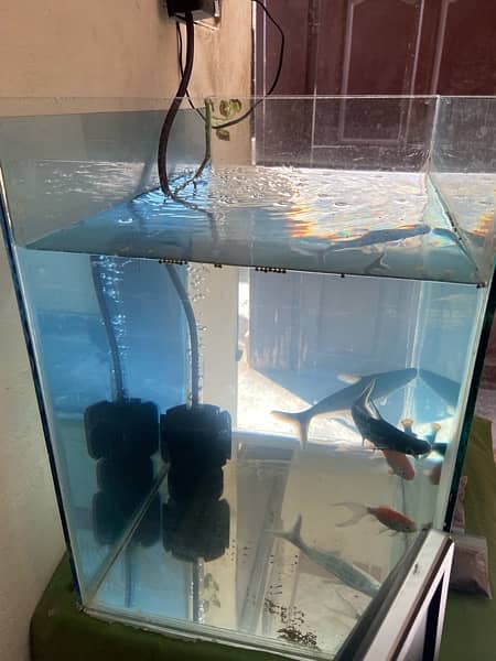 aquarium pump filter fish 0