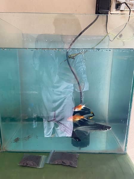 aquarium pump filter fish 2