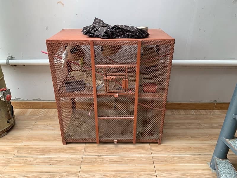 cage for sale heavy iron pe hai 10/9  3*1.5 ft 2 portion 0