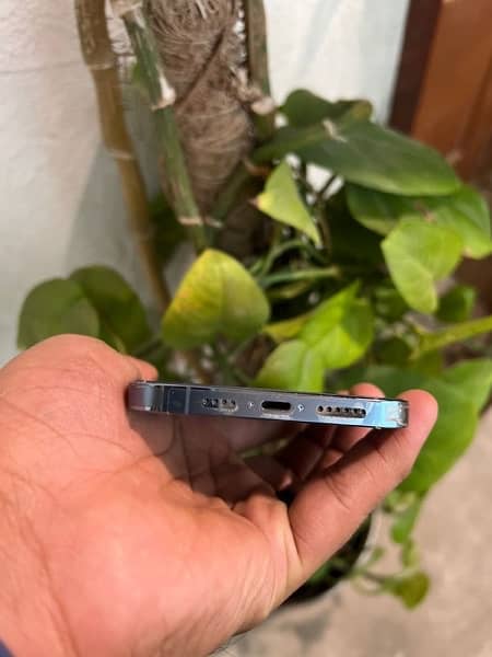 IPhone 13 pro max 256 gb factory unlock 1