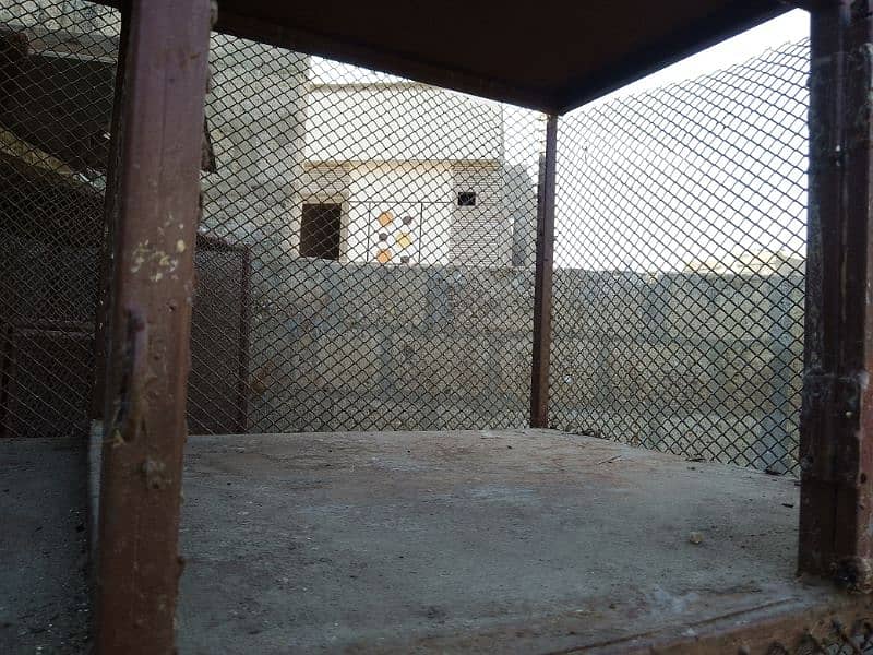 cage for animals 4