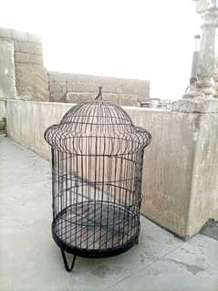 African gray parrot cage. Contact:03327765629