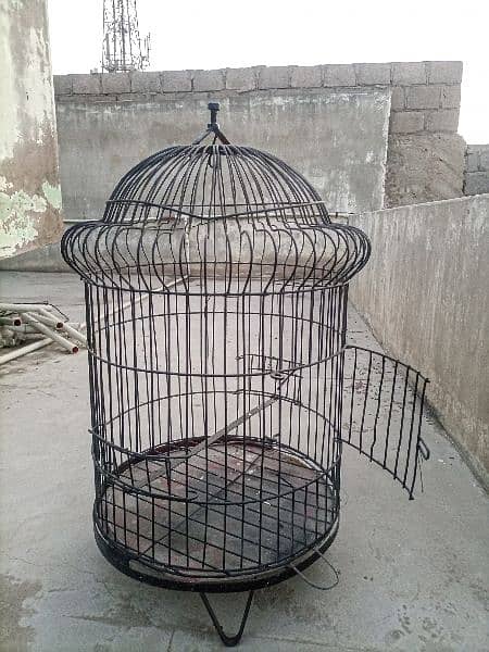 African gray parrot cage. Contact:03327765629 1