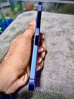 IPhone 12 pro max specific blue