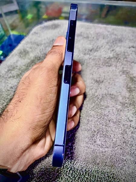 IPhone 12 pro max specific blue 0