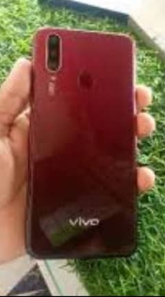 vivo