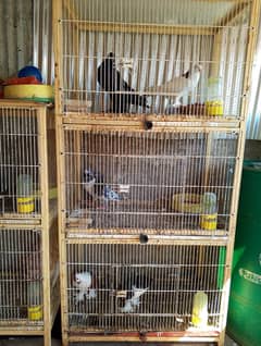 3 portion cage / Wood cage / Birds cage /Parrot cage / Cage for sale