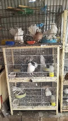 2 portion cage / Wood cage / Birds cage /Parrot cage / Cage for sale