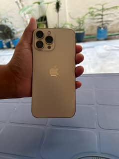 iphone 13 promax (non pta)