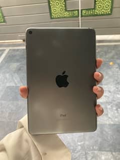 Ipad mini 5