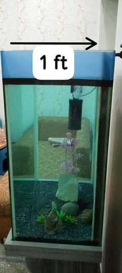 2x2 ft fish aquarium