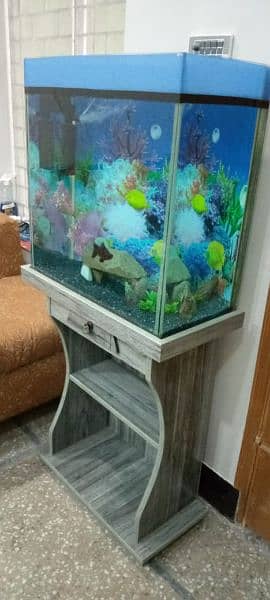 2x2 ft fish aquarium 1