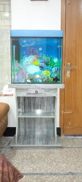 2x2 ft fish aquarium 2