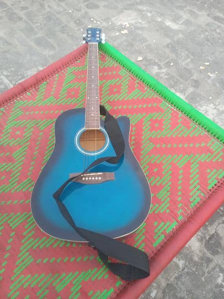 Guitar aquaistic 5