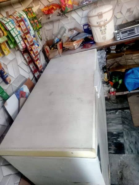 Waves Single Door Large Size Freezer  Original Gas Compressor 6