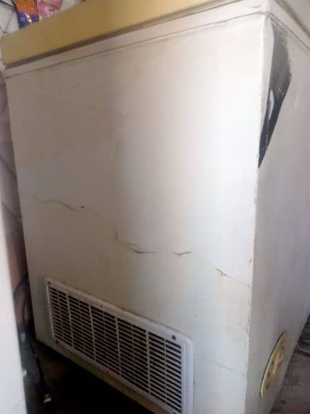 Waves Single Door Large Size Freezer  Original Gas Compressor 10