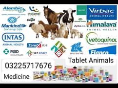 Animal's Medicine Animal Tablet Animals Food Accessories