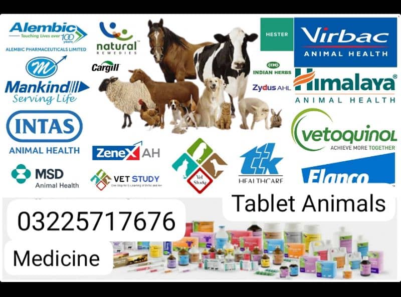 Animal's Medicine Animal Tablet Animals Food Accessories 0