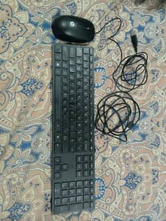 HP Keyboard and mouse