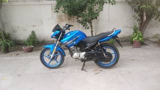 Yamaha YBR125 (Golden No)