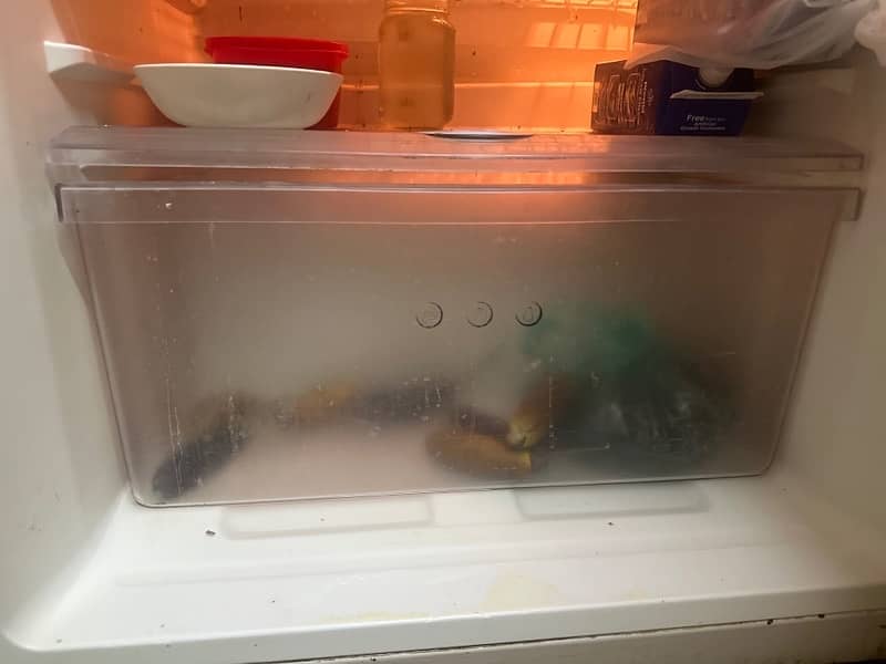 refrigerator for sale 3