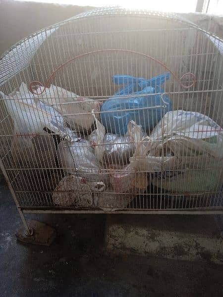 hen cages for sale 0