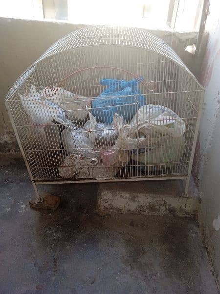 hen cages for sale 1