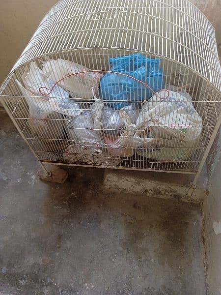 hen cages for sale 2