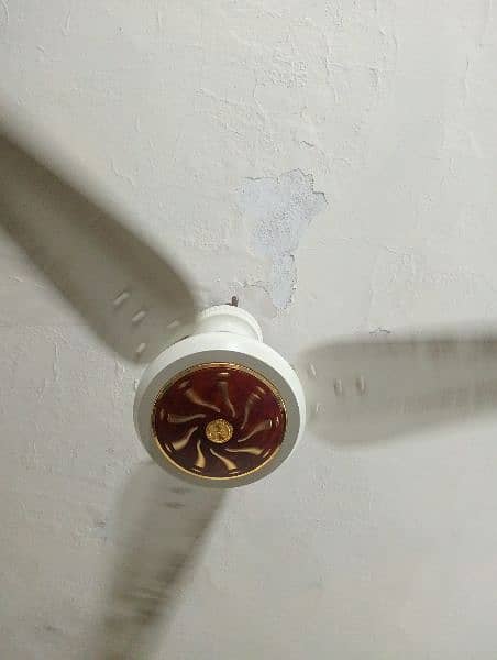 Ceiling fan 1